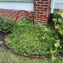 Clamon Lawn Care project photo