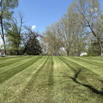 Clamon Lawn Care project photo
